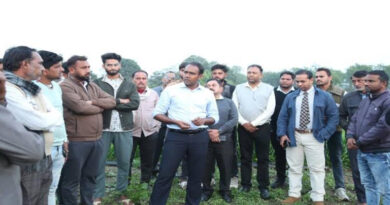 अश्वगंधा की खेती देख प्रभावित हुए सागर के कलेक्टर