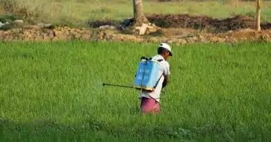 भारत सरकार ने ड्राफ्ट कीटनाशक प्रबंधन विधेयक, 2025 पर सार्वजनिक टिप्पणियां आमंत्रित कीं