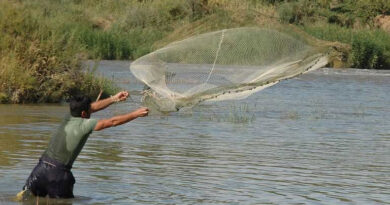 समुद्री खाद्य निर्यात पर उच्चस्तरीय अंतरराष्ट्रीय सम्मेलन, 83 देशों के राजदूत करेंगे मंथन  