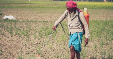 कीटनाशक प्रबंधन विधेयक 2025 का नया मसौदा जारी, किसानों को मिलेगा गुणवत्तापूर्ण कीटनाशक