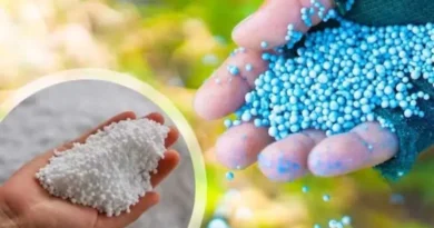 यूरिया टोकन वितरण एवं उपलब्धता संबंधी आवश्यक सूचना