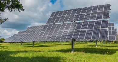 पीएम कृषक मित्र सूर्य योजना में विदिशा जिले के 1849 कृषकों का लाभान्वित करने का लक्ष्य