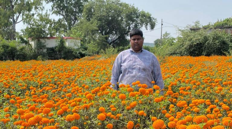 भोपाल में 30 जनवरी को राज्य स्तरीय पुष्प महोत्सव - व्यावसायिक पुष्प खेती को मिलेगा बढ़ावा  