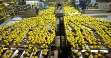 इंदौर में खाद्यान्नों की आधुनिक टेक्नोलॉजी वाली मशीनों की  प्रदर्शनी 6 से 8 फरवरी तक