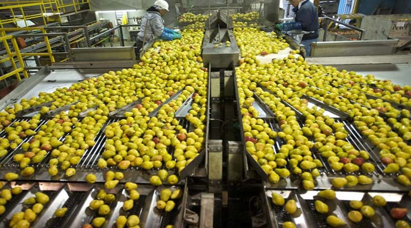 इंदौर में खाद्यान्नों की आधुनिक टेक्नोलॉजी वाली मशीनों की  प्रदर्शनी 6 से 8 फरवरी तक