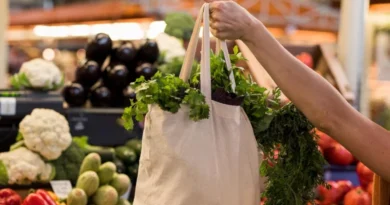 धान मंडी रेट (27 जनवरी 2026)