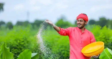 सतना: बिना ई -टोकन उर्वरक बेचने वाले विक्रेताओं पर होगी कार्रवाई
