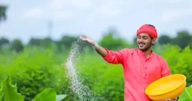 शिवपुरी: उर्वरक वितरण हेतु एग्रीस्टैक पोर्टल पर भूमि पंजीयन अनिवार्य