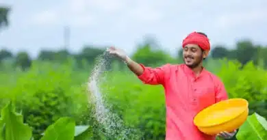 रीवा जिले में ई टोकन से बंटेगी खाद