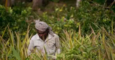 बिहार में किसान रजिस्ट्री का नया रिकॉर्ड: 10 लाख से अधिक किसानों को मिली फार्मर आईडी