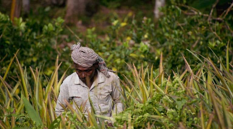बिहार में किसान रजिस्ट्री का नया रिकॉर्ड: 10 लाख से अधिक किसानों को मिली फार्मर आईडी