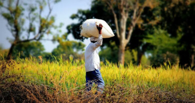 केंद्रीय बजट 2026–27: खाद सुरक्षा और घरेलू उत्पादन को मज़बूत करने के लिए FAI की सरकार से अहम मांगें