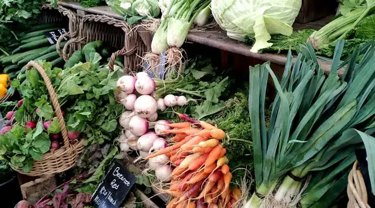 सिवनी के कंपनी गार्डन में हर सोमवार लगेगा जैविक-प्राकृतिक हाट बाजार