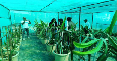 ड्रैगन फ्रूट की खेती आर्थिक सशक्तिकरण के साबित होगा वरदान- सीईओ जिला पंचायत