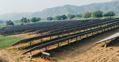 राजस्थान: पीएम-कुसुम योजना से सौर ऊर्जा को मिली रफ्तार, किसानों को हो रहा दोहरा लाभ राजस्थान: पीएम-कुसुम योजना से सौर ऊर्जा को मिली रफ्तार, किसानों को हो रहा दोहरा लाभ