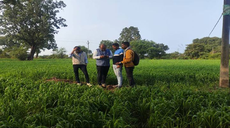 विदिशा में तहसीलदार हेमंत अग्रवाल ने किया खेतों का निरीक्षण, फसल सर्वे और गिरदावरी जल्द पूरा करने के दिए निर्देश