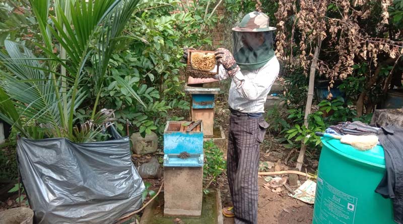 छत्तीसगढ़ में मधुमक्खी पालन बना मुनाफे का जरिया, लाखों कमा रहे किसान