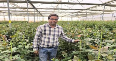 मल्टीनेशनल कंपनी की नौकरी छोड़ किसान बने एमपी के नितिन, अब गुलाब उगाकर कमा रहे 15 लाख सालाना  