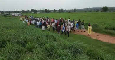 लेमन ग्रास की खेती- किसानों के लिए कमाई का उत्तम विकल्प, एक एकड़ से हो रही एक लाख तक की कमाई