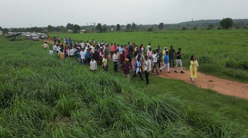 लेमन ग्रास की खेती- किसानों के लिए कमाई का उत्तम विकल्प, एक एकड़ से हो रही एक लाख तक की कमाई