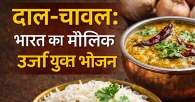दाल–चावल: भारत का मौलिक प्रोटीन “ऊर्जा युक्त भोजन”