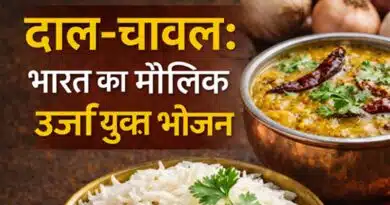 दाल–चावल: भारत का मौलिक प्रोटीन “ऊर्जा युक्त भोजन”