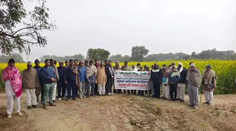 केवीके दिल्ली में किसान प्रशिक्षण आयोजित: किसानों को सरसों फसल की फली अवस्था में सिंचाई, कीट-रोग और उर्वरक प्रबंधन की जानकारी दी गई