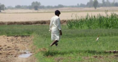 अध्यात्म, विज्ञान और 8000 किमी का सफर: जाग्रति यात्रा पूरी कर लौटे क्षेत्र के होनहार श्यामनारायण विश्वकर्मा