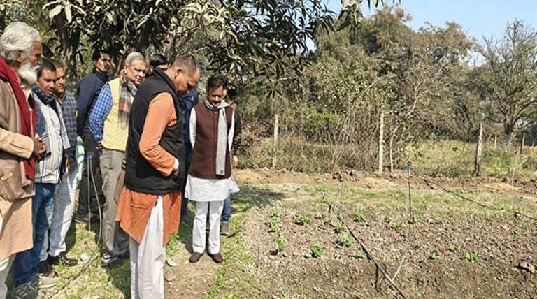 प्राकृतिक खेती से लागत कम और बाहरी निर्भरता कम होती है: उप मुख्यमंत्री शुक्ल  