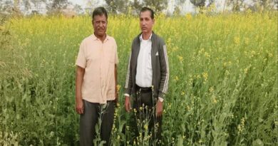 तिलहनी फसलों से बालाघाट जिले के किसानों की आय में इजाफा, सरसों प्रदर्शन से बढ़ी रुचि  