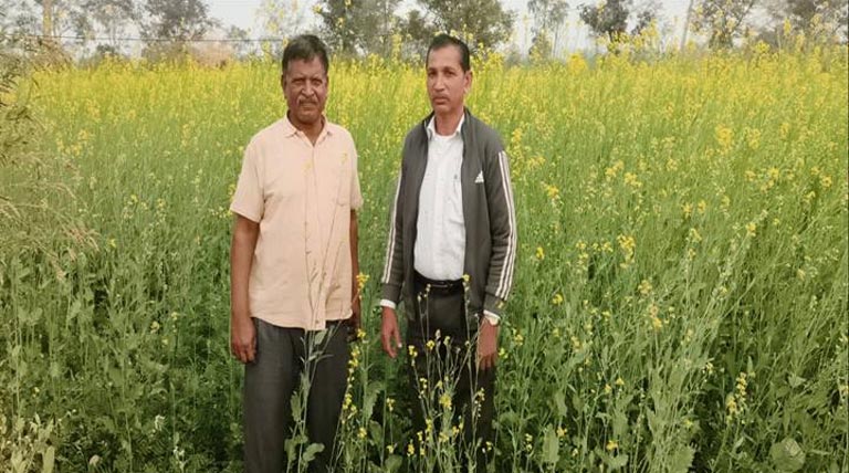 तिलहनी फसलों से बालाघाट जिले के किसानों की आय में इजाफा, सरसों प्रदर्शन से बढ़ी रुचि