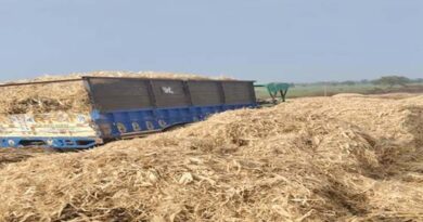 मक्का के भुट्टों के भूसे की उपलब्धता, गौवंश के पोषण हेतु महत्वपूर्ण पहल