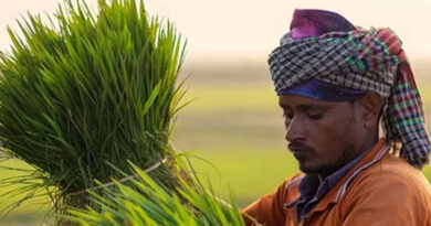 प्रधानमंत्री धन धान्य कृषि योजना के तहत मानपुर का भ्रमण, चना-मसूर की कतार बोनी पर जताई प्रसन्नता; किसानों को दी जैविक खेती की सलाह