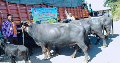 दुग्ध उत्पादन बढ़ाने की पहल: डेयरी प्लस योजना के तहत धार में 15 हितग्राहियों को 30 मुर्रा भैंसें वितरित  