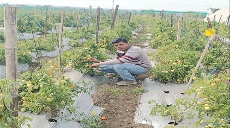 परंपरागत खेती छोड़, अमरूद-सब्जी की आधुनिक खेती से कृषक धीरज ने बदली अपनी तकदीर
