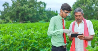 रबी मौसम के लिए डिजिटल क्रॉप सर्वे की समय-सारणी जारी, 31 मार्च तक भूलेख पोर्टल पर अपडेट होगा डाटा