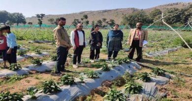 प्रधानमंत्री धन-धान्य कृषि योजना के तहत कृषि मंत्रालय के प्रतिनिधि ने टीकमगढ़ जिले में योजनाओं के क्रियान्वयन की समीक्षा की, हितग्राहियों से किया सीधा संवाद प्रधानमंत्री धन-धान्य कृषि योजना के तहत कृषि मंत्रालय के प्रतिनिधि ने टीकमगढ़ जिले में योजनाओं के क्रियान्वयन की समीक्षा की, हितग्राहियों से किया सीधा संवाद