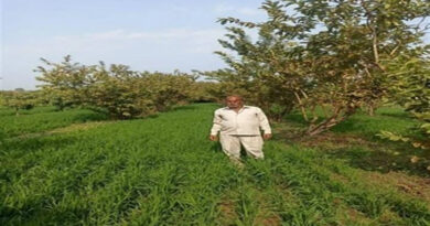 रायसेन के किसान झल्कन सिंह ने प्राकृतिक खेती से पेश की मिसाल, बागवानी के साथ ‘इंटरक्रॉंपिंग‘ कर कमा रहे दोगुना लाभ