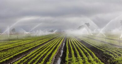 माइक्रो इरिगेशन को बढ़ावा देने जिला स्तरीय बैठक, किसानों को समय पर लाभ दिलाने के दिए निर्देश