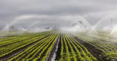 बुरहानपुर जिले की सिंचाई परियोजनाओं के लिए 2,598 करोड़ से अधिक की स्वीकृति