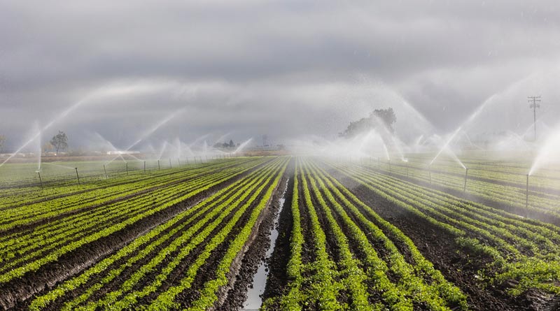 बुरहानपुर जिले की सिंचाई परियोजनाओं के लिए 2,598 करोड़ से अधिक की स्वीकृति