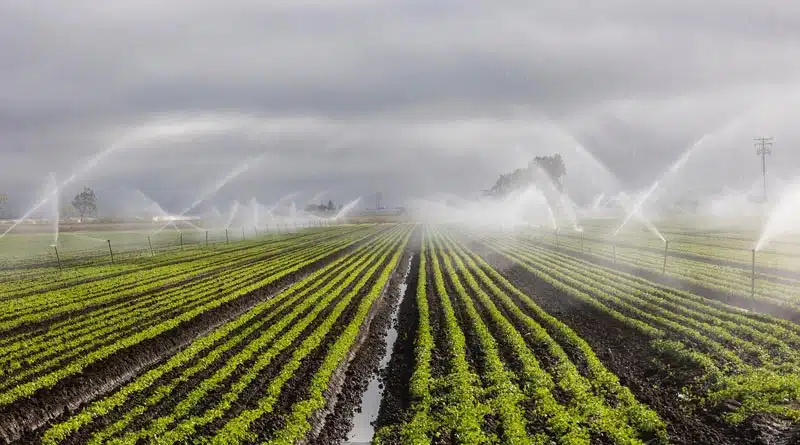 बुरहानपुर जिले की सिंचाई परियोजनाओं के लिए 2,598 करोड़ से अधिक की स्वीकृति