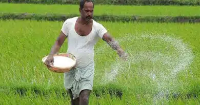 सतना जिले में अनुदानित उर्वरकों और गैर-सब्सिडी वाले उत्पादों की टैगिंग पर रोक