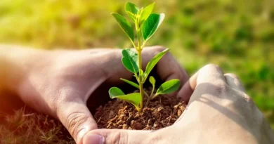 असम के जैविक कृषि निर्यात को बढ़ावा, गुवाहाटी में एपीडा का सम्मेलन-सह-खरीदार-विक्रेता बैठक  