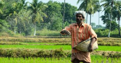 पारादीप फॉस्फेट्स का तीसरी और नौवीं तिमाही में लगातार मजबूत प्रदर्शन