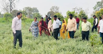 छिंदवाड़ा: कृषि विभाग की टीम द्वारा प्राकृतिक खेती किया भ्रमण