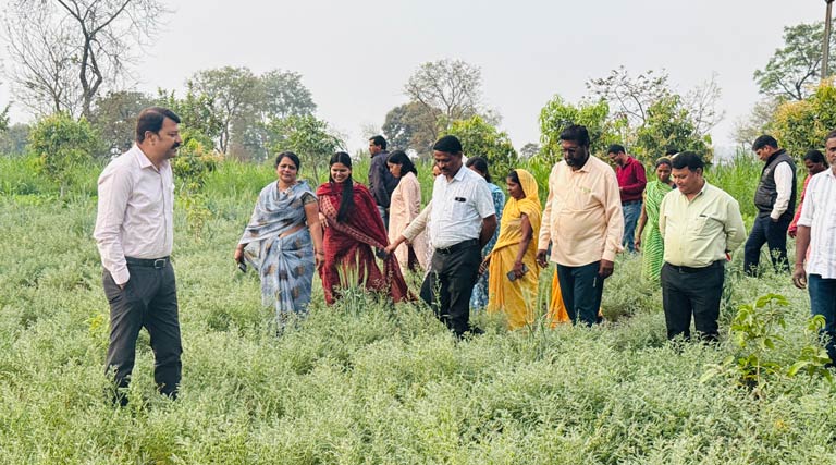 छिंदवाड़ा: कृषि विभाग की टीम द्वारा प्राकृतिक खेती किया भ्रमण