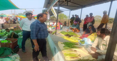 झाबुआ: रामा विकासखण्ड में जैविक हाट बाजार का आयोजन