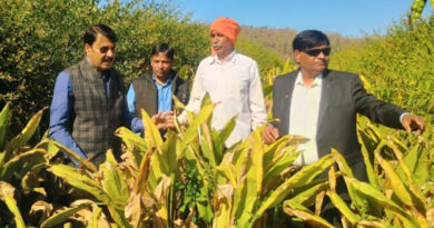 पांढुर्ना: भुम्मा की जैविक हल्दी की गूंज ऑस्ट्रेलिया, पेरिस और जापान तक