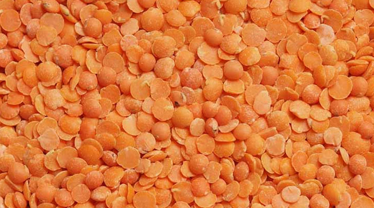 चना एवं मसूर समर्थन मूल्य पर किसान पंजीयन के लिए उज्जैन जिले में 146 पंजीयन केंद्र बनाए गए